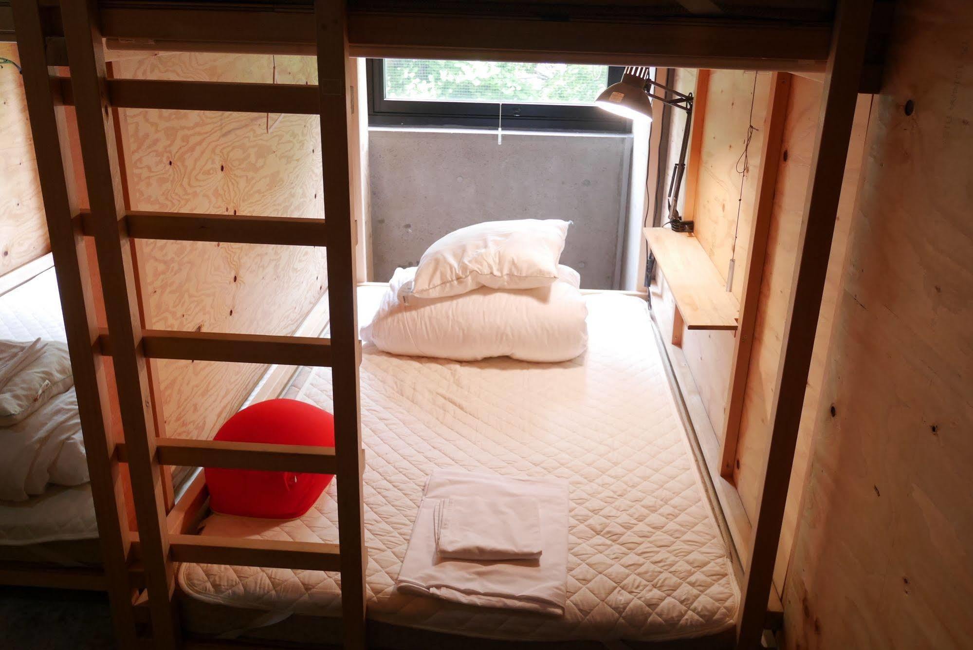Artnshelter -