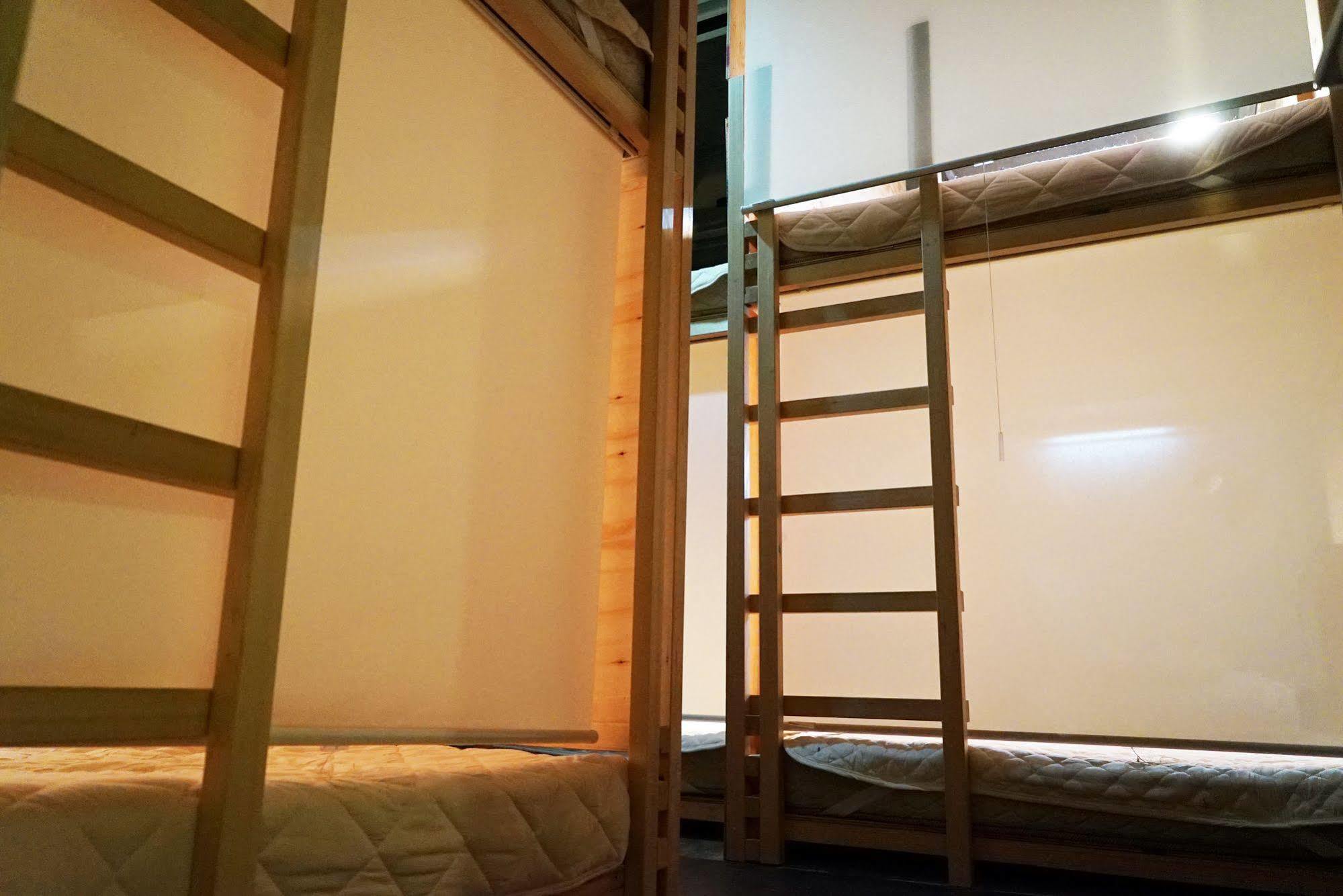 Artnshelter -